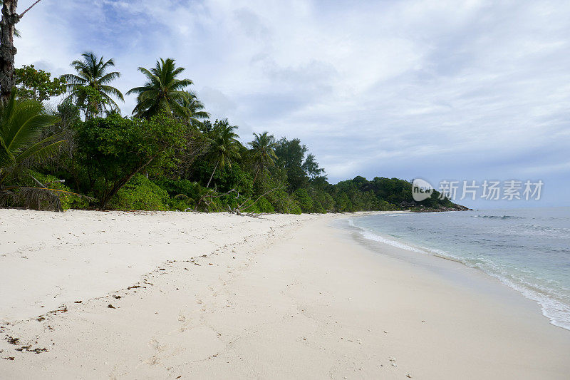 Anse Kerlan，普拉林，塞舌尔